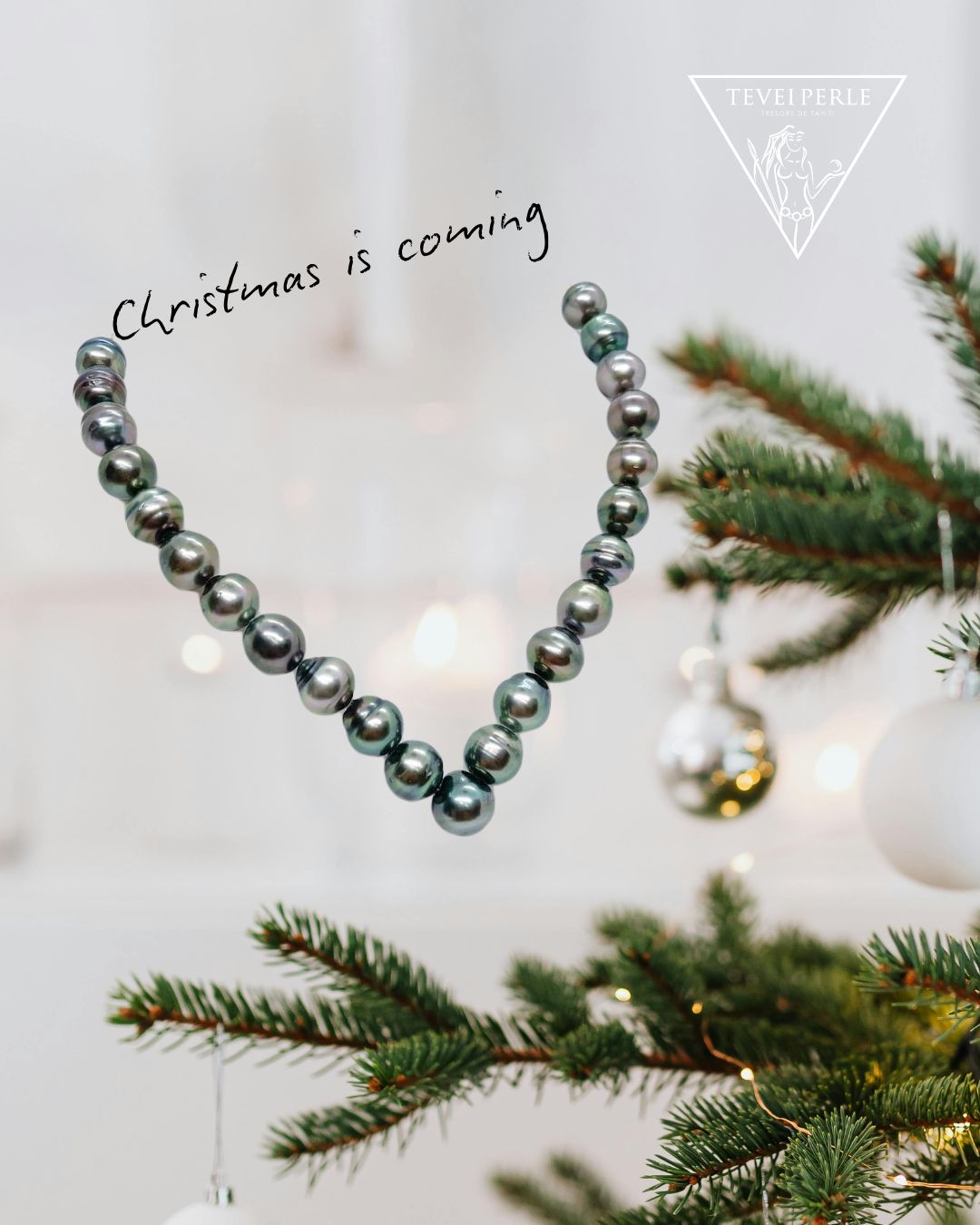 🎄 Noël : Le moment parfait pour offrir l’éclat d’une Perle de Tahiti